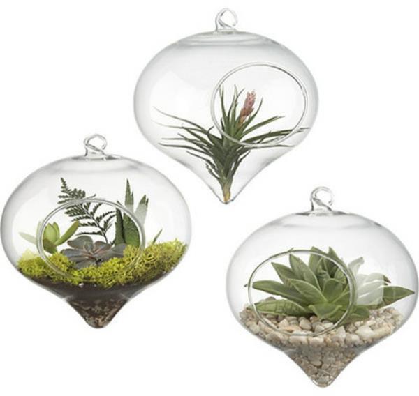 terrarium -idea riippuva väri ja rakenne