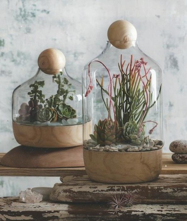 terrarium idea kauniit lasit kasveilla