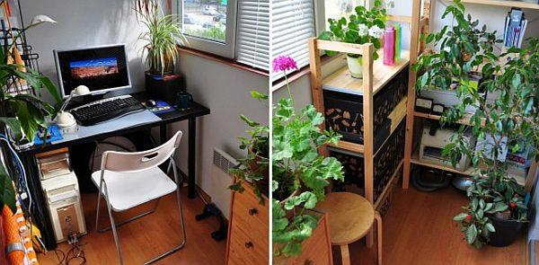 terassi parveke pieni kompakti idea työpaikka kirjoituspöytä kasvit