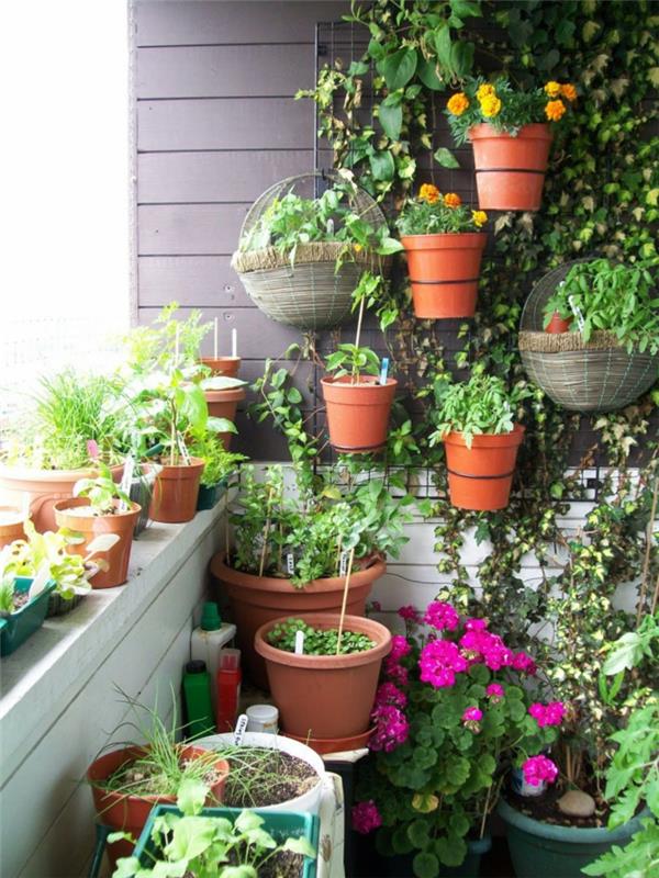 terassin istutus parvekekalusteet ja parvekekasvit luovat pystysuoran puutarhan