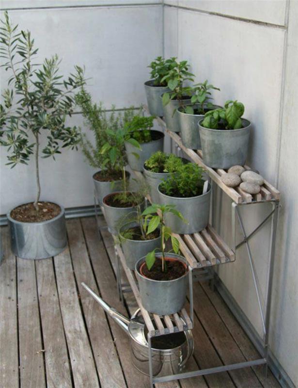 patio kasvit huonekalut ja parveke kasvit ruukkukasvit ämpäri