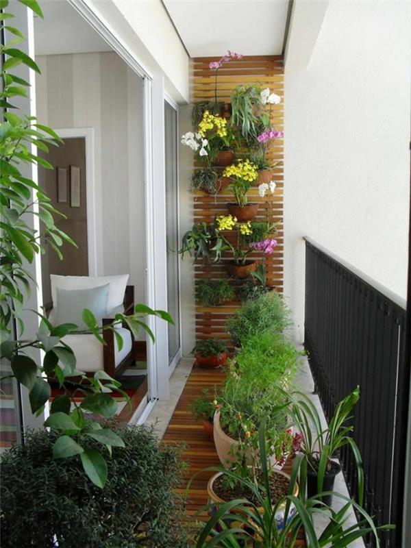 patio kasvit huonekalut ja parveke kasvit pystysuora puutarha