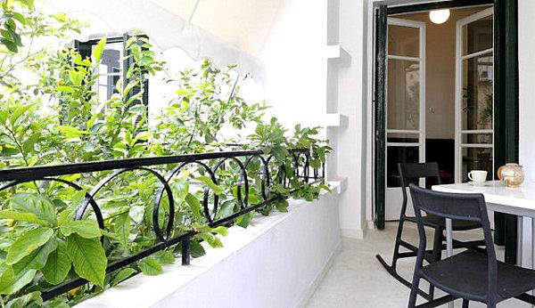 patio suunnittelu kasveja metallinen keinutuolit