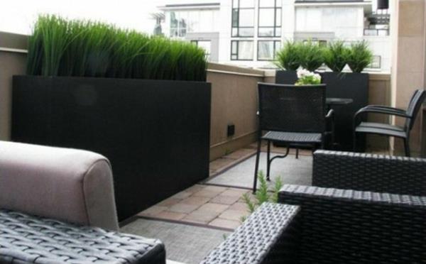 patio yksityisyys ideoita kasveja rottinki puutarhakalusteet