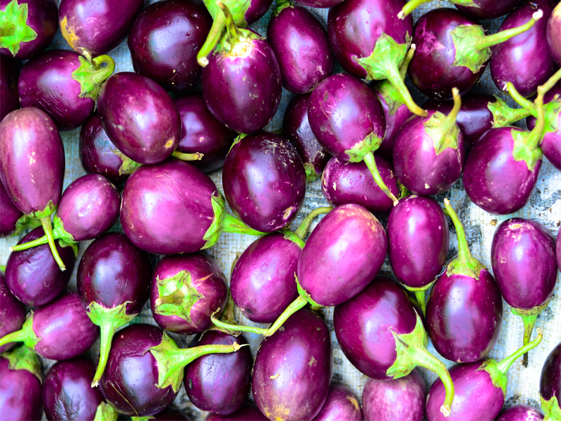 Brinjal under graviditeten