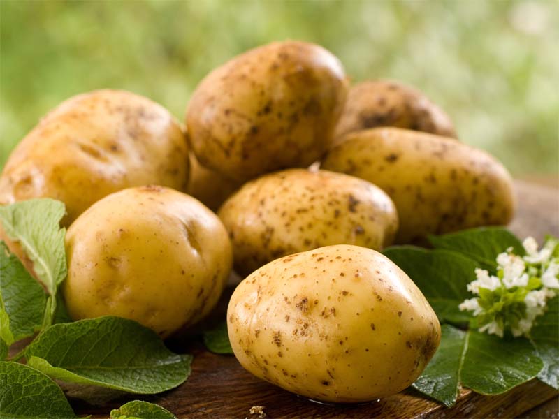 Kartoffels mirakler til hurtig hårvækst