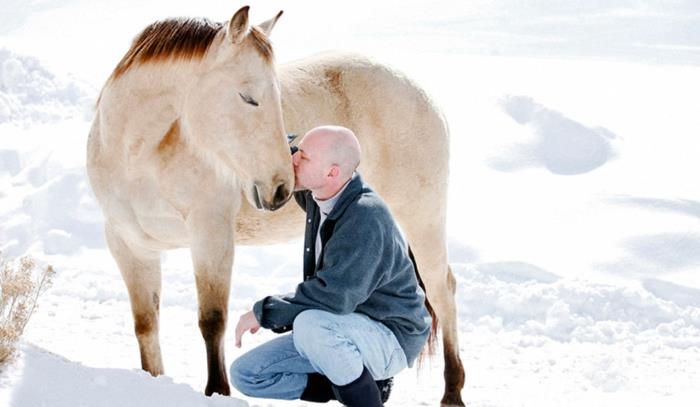 terapeuttinen ratsastus rakentaa luottamusta ymmärtää hevosten masennusta