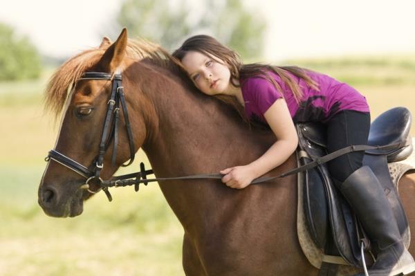 eläinten avustama pedagogiikka eläimet terapiassa hevoseläinten terapia