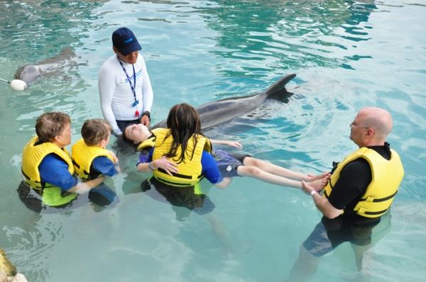 eläinhoitoeläimet terapiassa delfiiniterapia eläinten avustama pedagogiikka