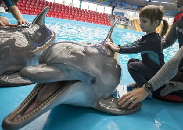 eläinten hoito eläimet terapia delfiiniterapia