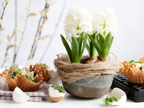 pöytäkoriste pääsiäisen valkoinen hyasinttipöydän koristelu