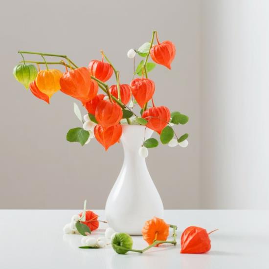 pöytäkoriste maljakko kukat lampion kukka physalis valkoiset marjat
