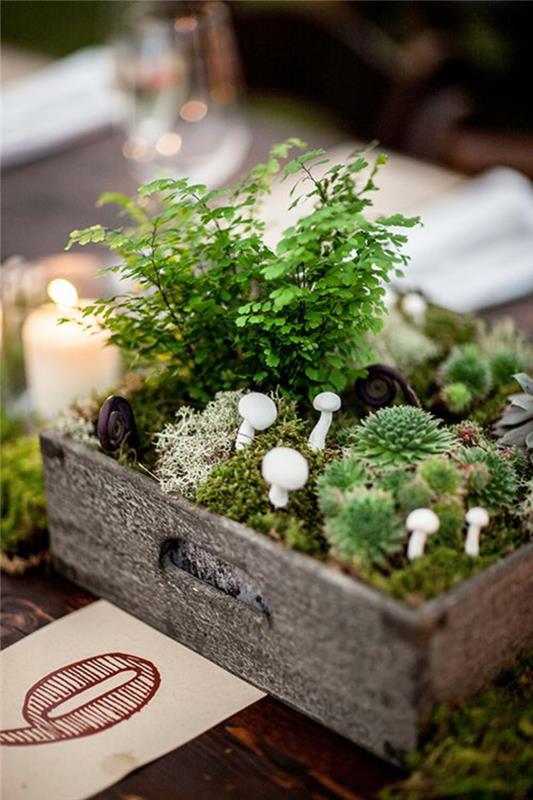 pöytä koristelu häät bonsai mini puutarha diy koristelu