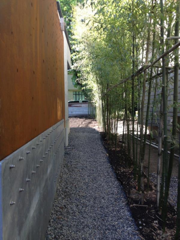 mahtava bambu kaataa elävän seinän kasveista