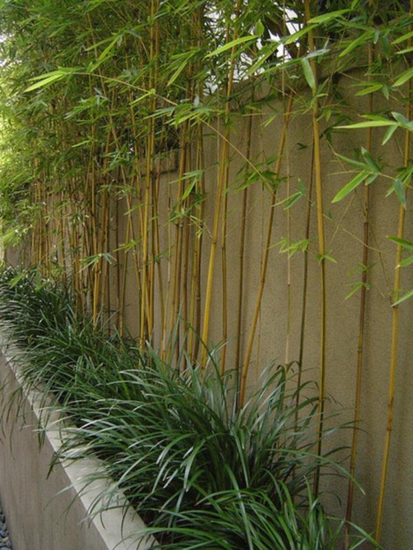 loistava bambu vinkkejä vihreä koristeluidea
