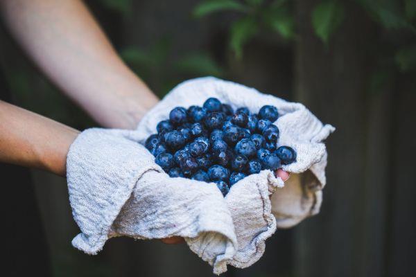 hienoja herkullisia hedelmäideoita sirtfood -ruokavalio