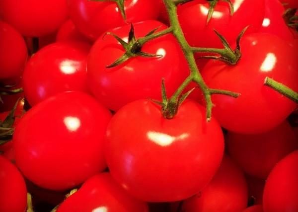 tomaatit herkullisia terveellisiä syödä