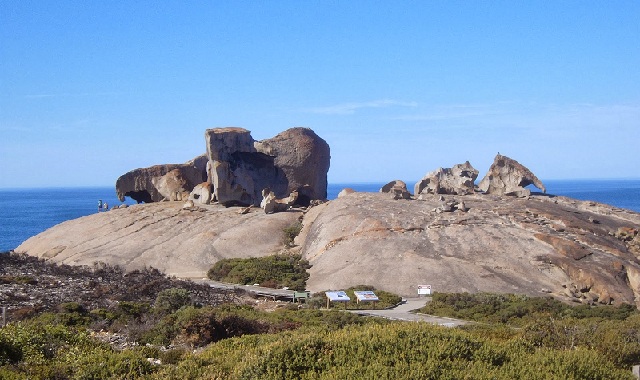 kænguru-ø_australien-turist-steder