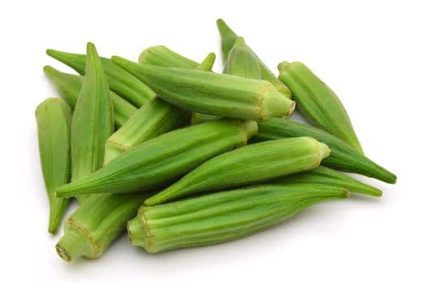 Okra -grøntsag for hurtigt at øge højden