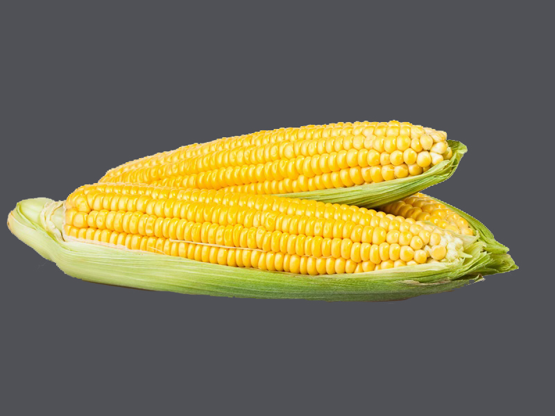 A kukorica előnyei és előnyei