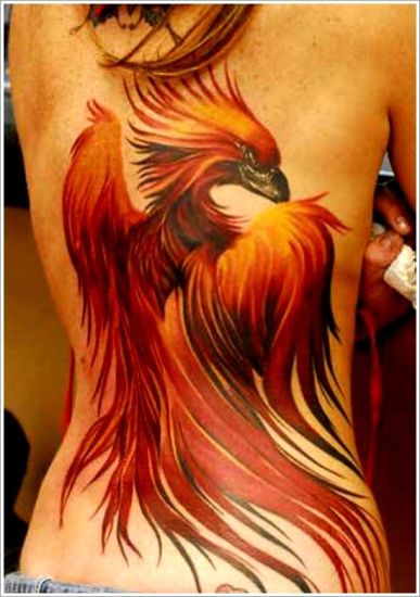 Fiery Phoenix