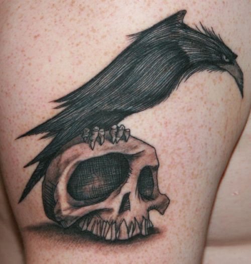 Bird On Skull Tattoo Designs