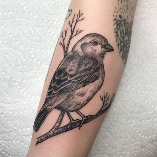 Sparrow Tattoos Betydning og designs 6