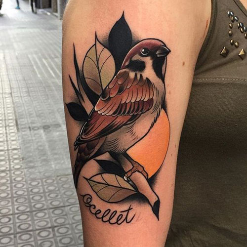 Sparrow Tattoos Betydning og designs 10