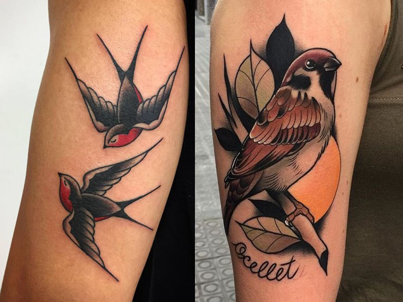 Sparrow Tattoos Betydning og designs