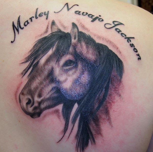 Hestehovedet tatovering på din ryg