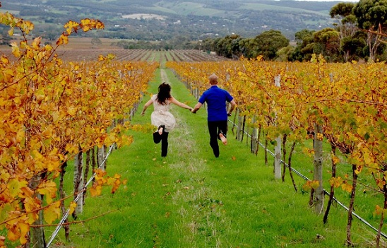 Australien Barossa Valley