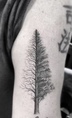 Absztrakt fa tetoválás
