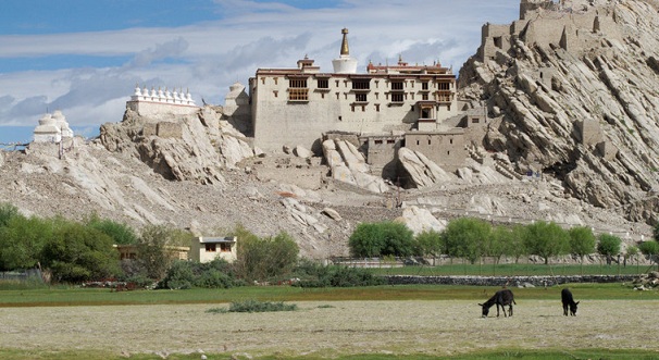 shey-palace_ladakh-turist-steder
