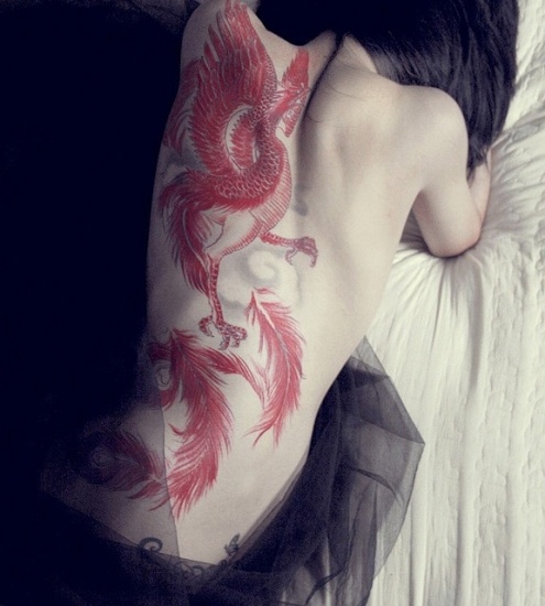 Piros vékony Phoenix tetoválás tervezés