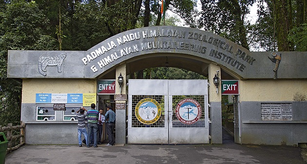 himalayan-bjergbestigning-zoo_darjeeling-turist-steder