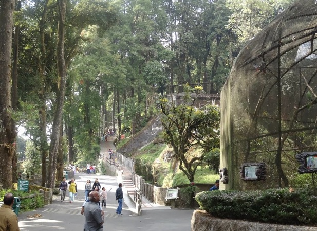 padmaja-naidu-himalája-állattani-park_darjeeling-turisztikai helyek