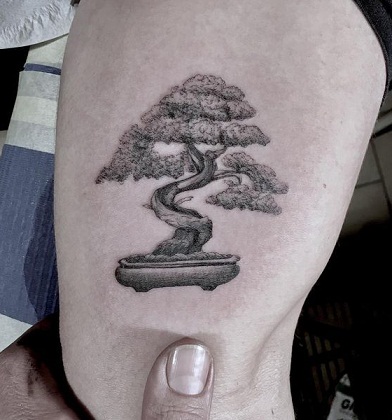 Bonsai fa tetoválás