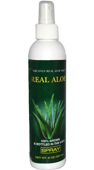 Igazi Aloe hajlakk