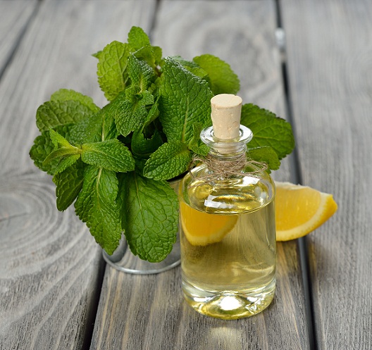 Pebermynteolie og citron