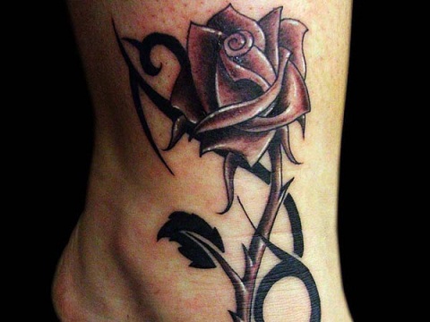 Sötét minta Törzsi Rózsa Tetoválás