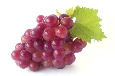 Vörös szőlőből készült ételek, amelyek javítják az állóképességet