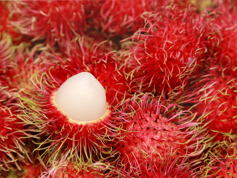 Sundhedsmæssige fordele ved Rambutan