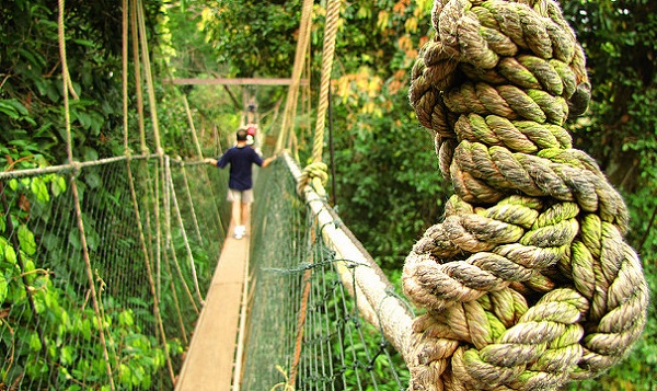 bryllupsrejse-steder-i-malaysia_taman-negara