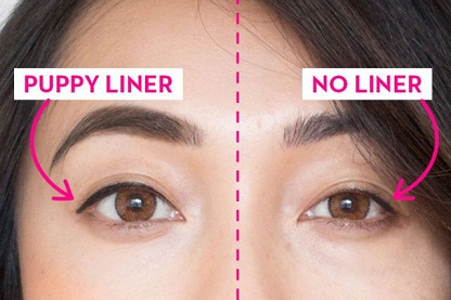 Hvalpe Eyeliner