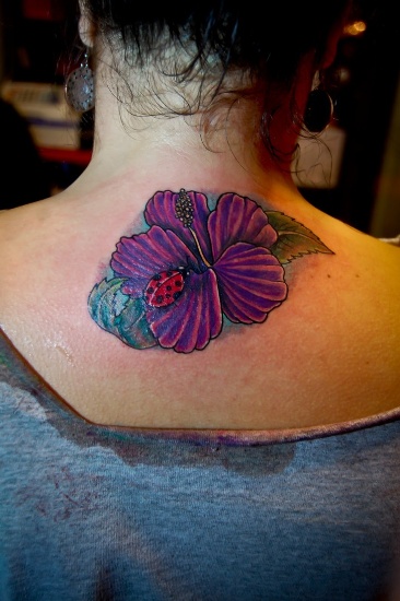 Hibiscus med mariehøne tatoveringsdesign