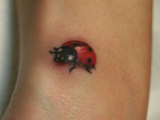 Lille 3D Lady Bug Tattoo Design