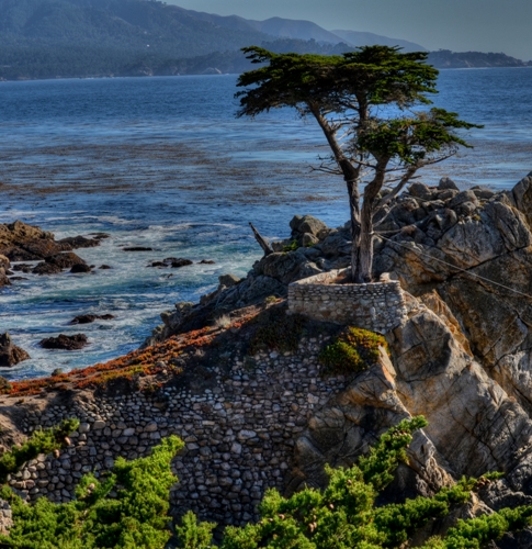 Kør på Monterrey Peninsula bryllupsrejse steder i Californien