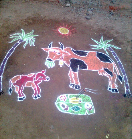 Pongal Kolam Rangoli Design