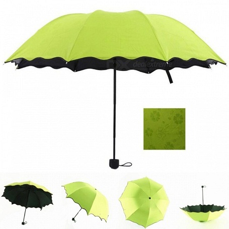 Ever Green esernyő