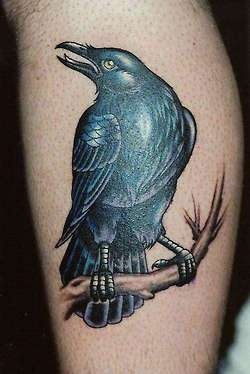 Crow On Branch Raven Tattoo Design